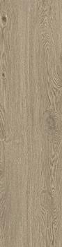 CREW HONEY - beige scuro