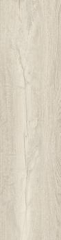 CREW HONEY - beige